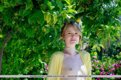 Citrus-Bloom