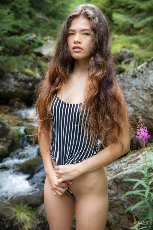 Alone In The Forest