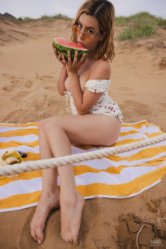 Beach Picnic