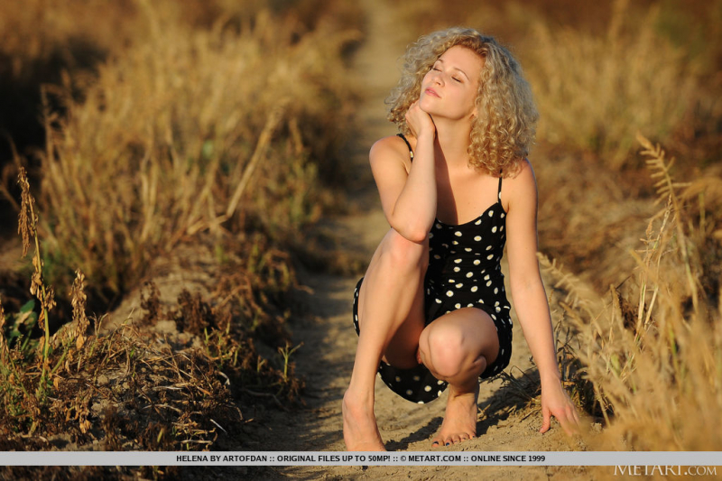 Flower in the Sun