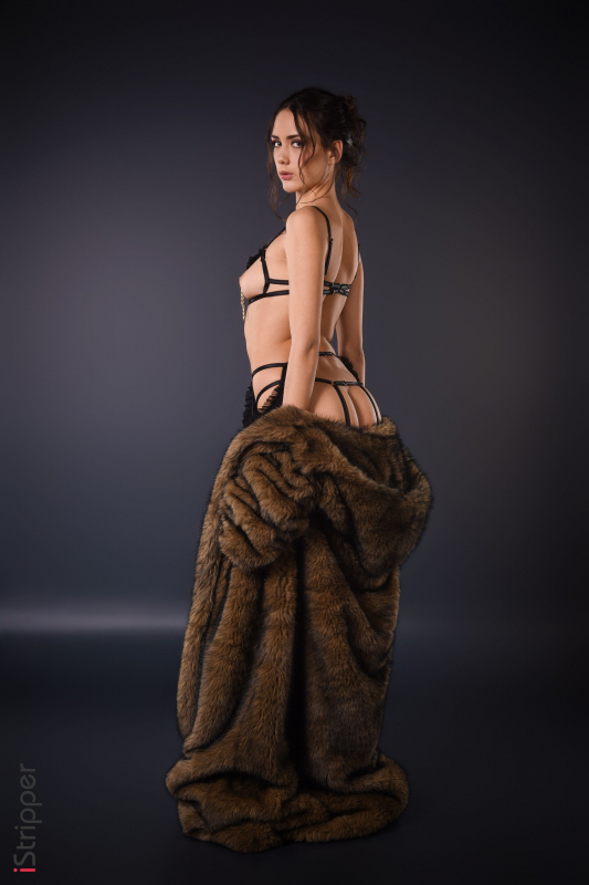 Classy In Fur