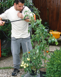 Fucked by the gardener