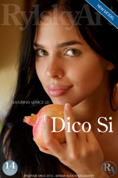 Dico-Si