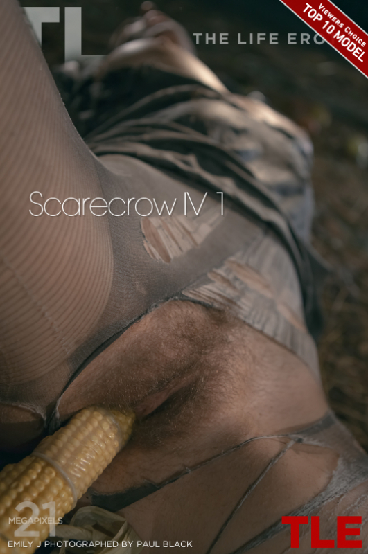 Scarecrow IV 1