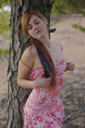 On-the-Lake-Shore