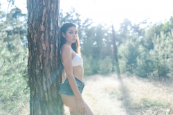 Fun-In-The-Forest