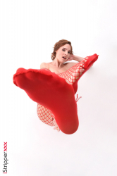 The-Red-Net