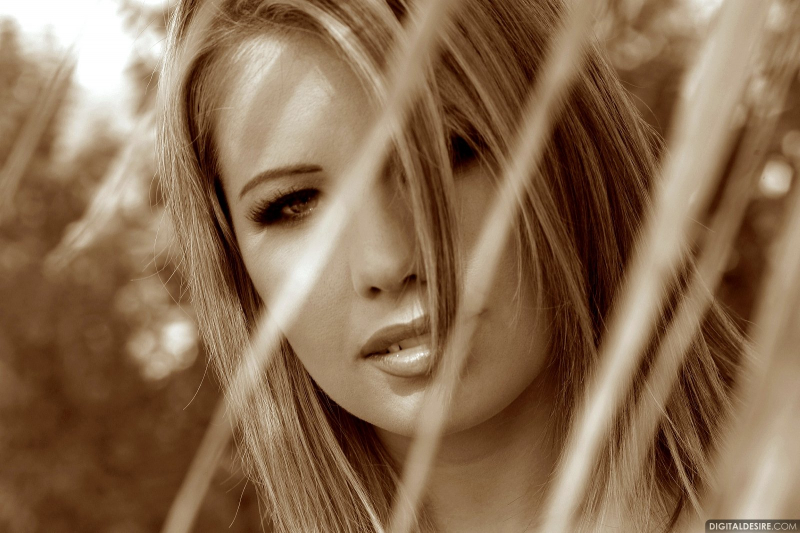 Ashley Brookes