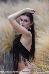 Wild-Allure
