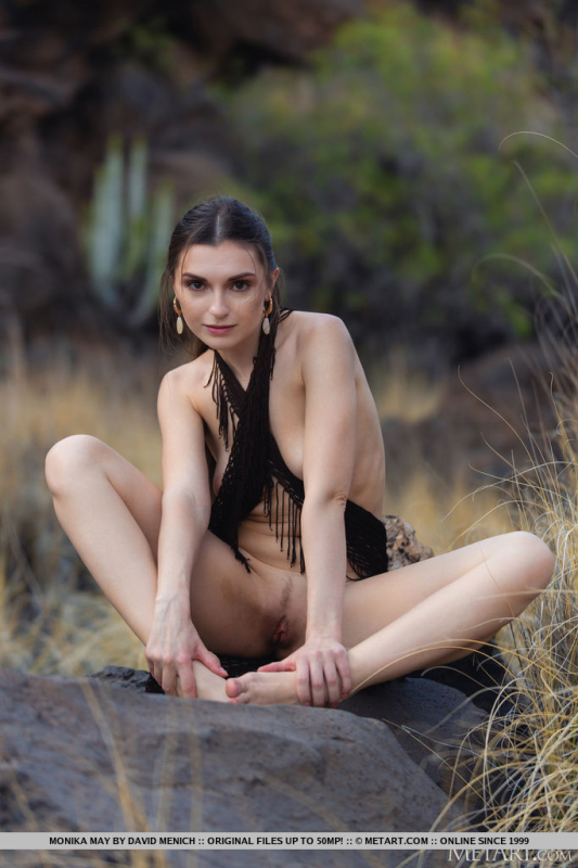 Wild Allure