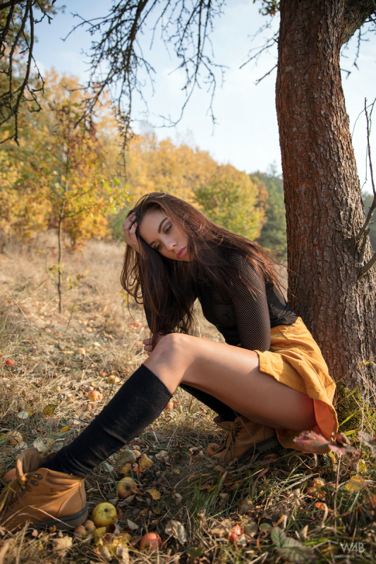 Autumn Mood