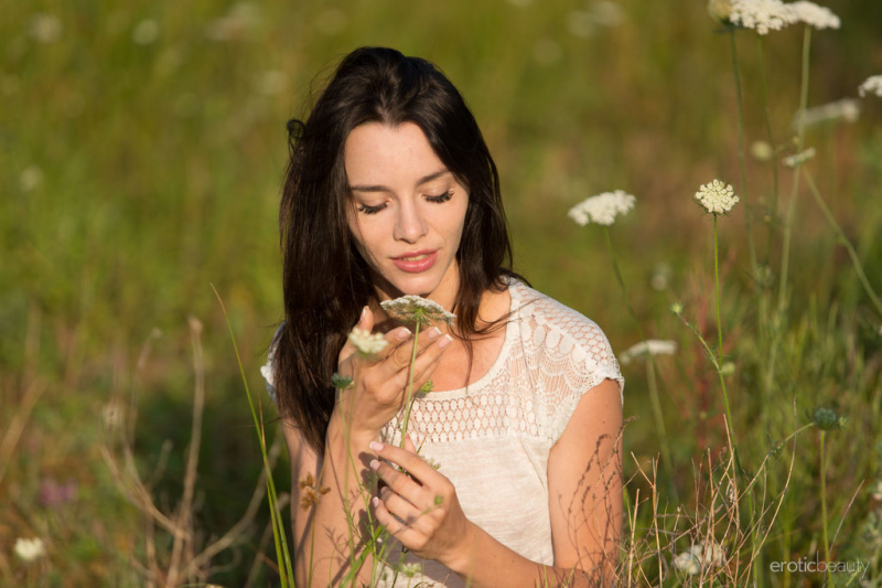 Lost In The Meadow