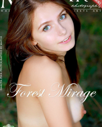 Forest Mirage