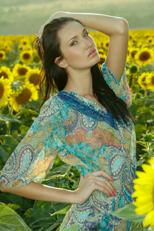 Field of Sunflowers