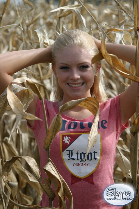 Corn Field