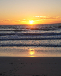 Beach vibes