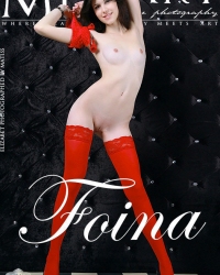 Foina