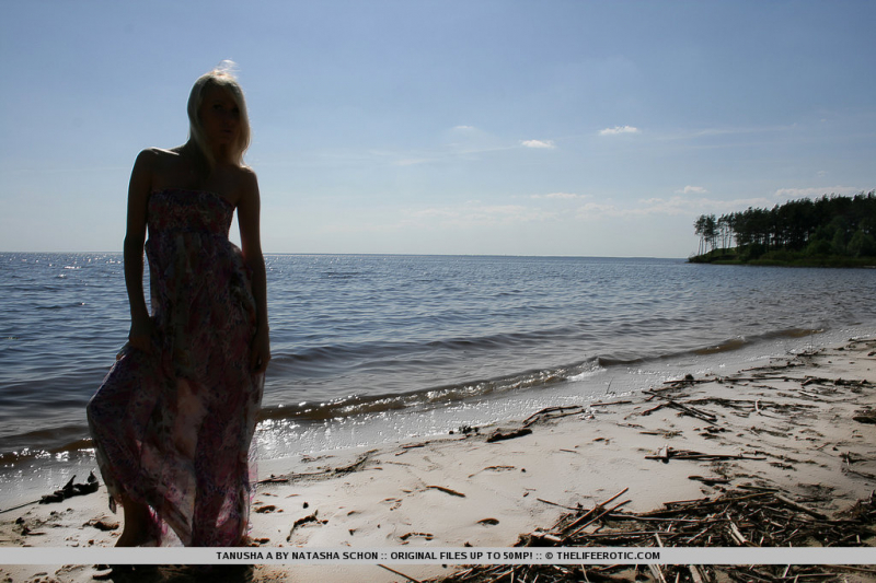 Lonely Beach