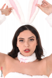 Voluptuous-Pink-Bunny