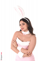 Voluptuous-Pink-Bunny