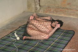 Alice-trapped-and-dangling-in-net-getting-vibed