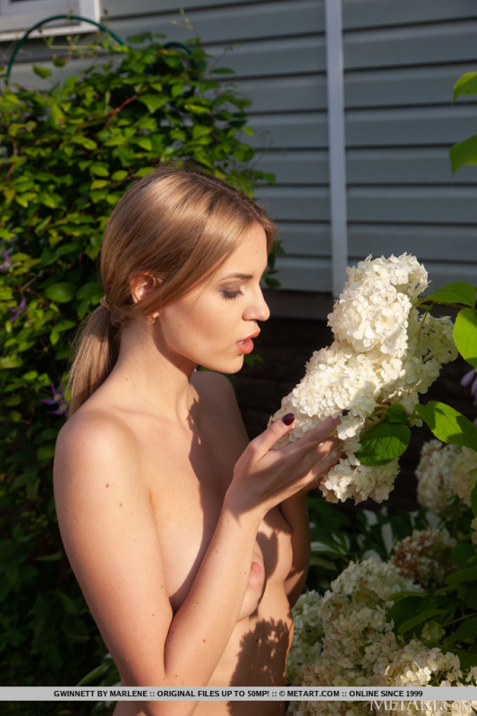 Among the Flowers