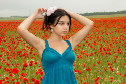 Cara--Field-of-Red-Roses