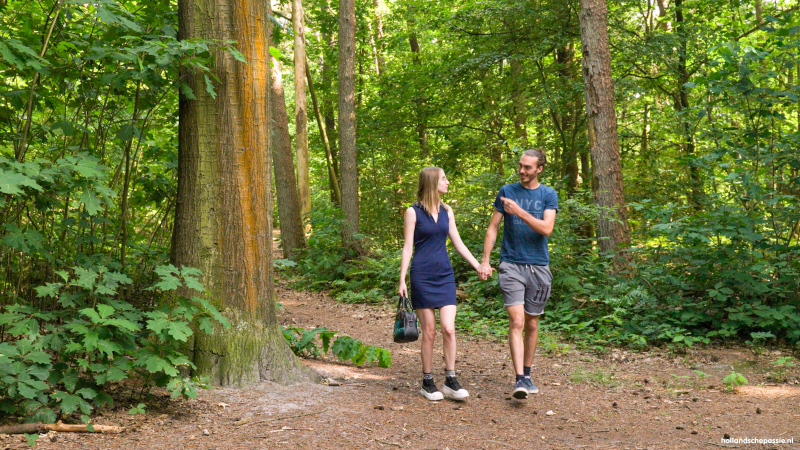 Stout hoor, een wip in het bos!