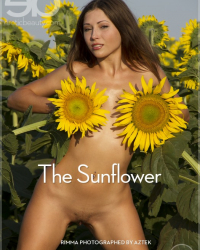 The Sunflower
