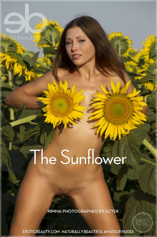 The Sunflower