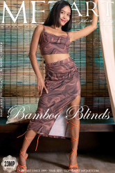 Bamboo-Blinds