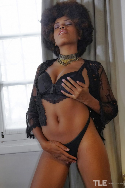 Hard Nipples 1