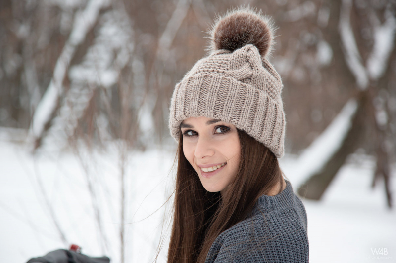 Snowmobile