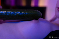 Juicy-Cucumber-1