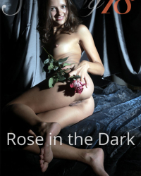 Rose in the Dark