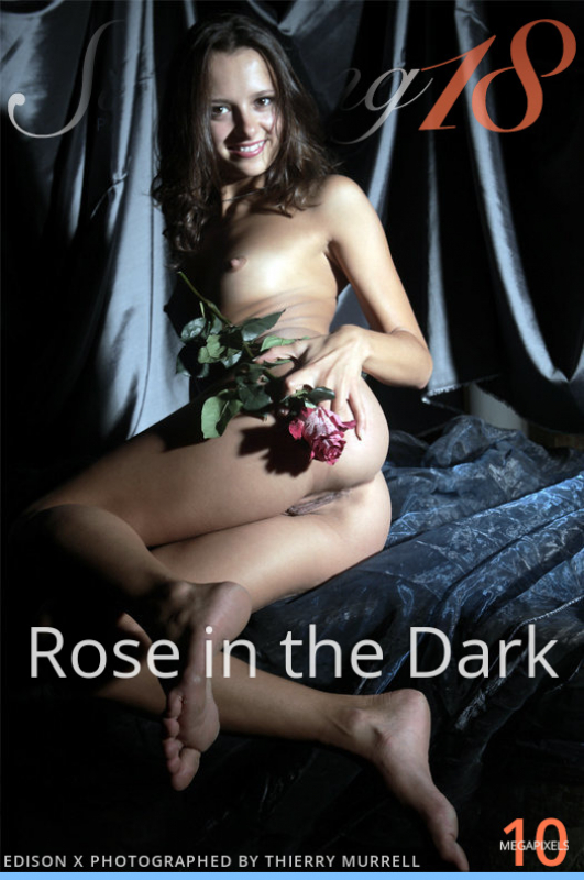 Rose in the Dark