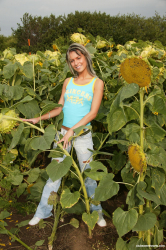 Sandy-masturbating-in-a-sunflower-field