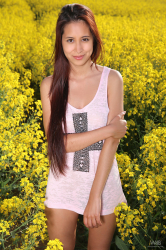 Colza-field