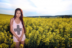 Colza-field