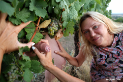 Public-cumming-at-a-vineyard