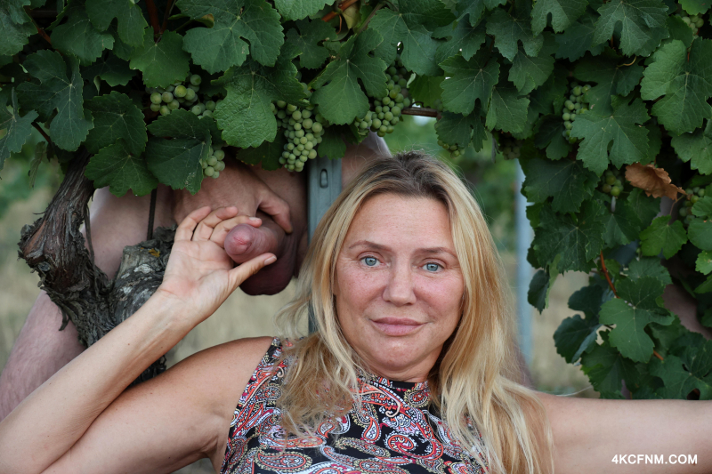 Public cumming at a vineyard