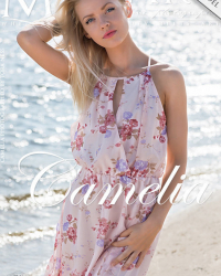 Presenting Camelia