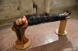 Monalee-wrapped-in-plastic-mouthstuffed-tapegagged