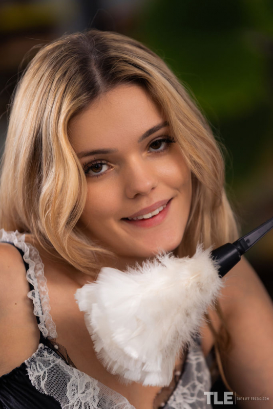 Housework Fantasy 1