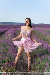 Lavender-Fields