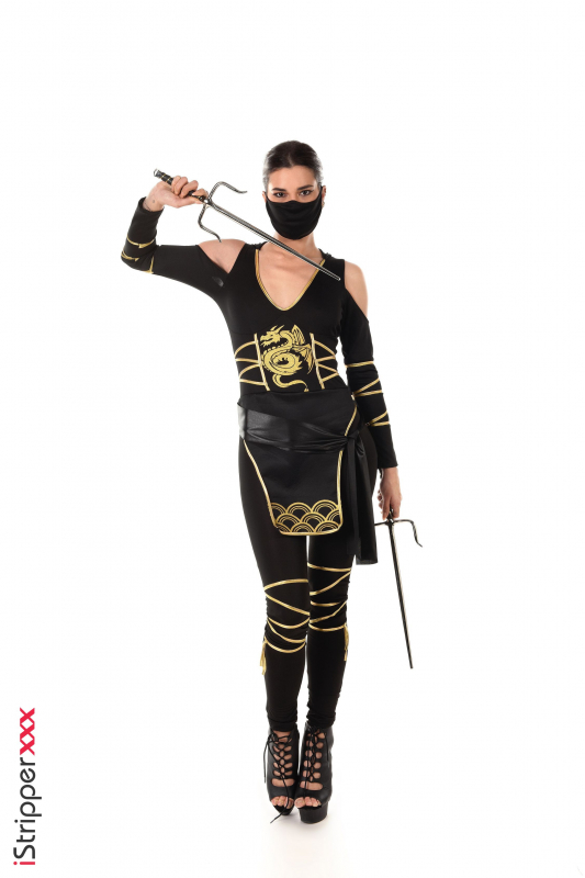 Sexy Fighter