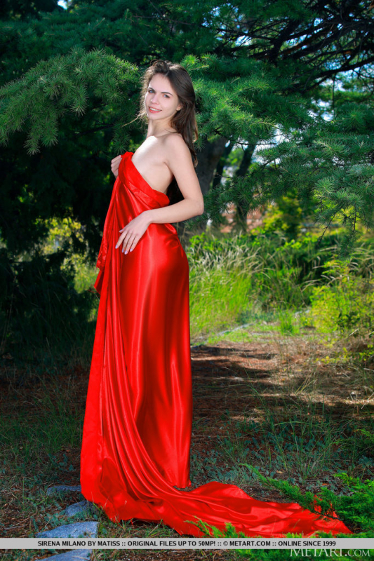 Forest Enchantress