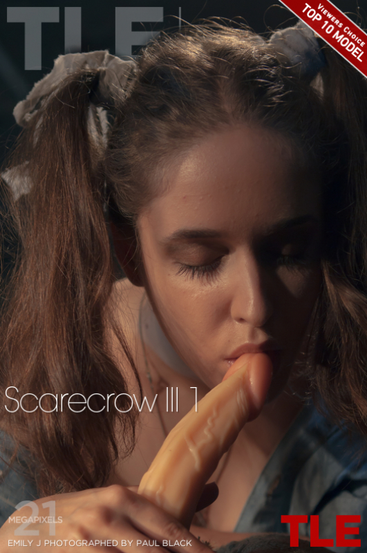 Scarecrow III 1