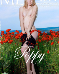 Poppy