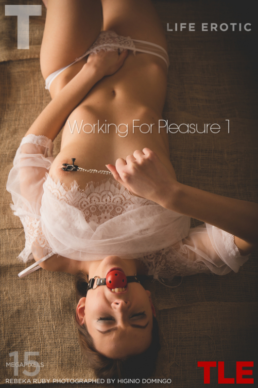 Working For Pleasure 1